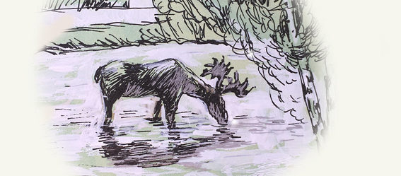 Легенда о Шайтанском лосе: Шайтанский лось - рисунок