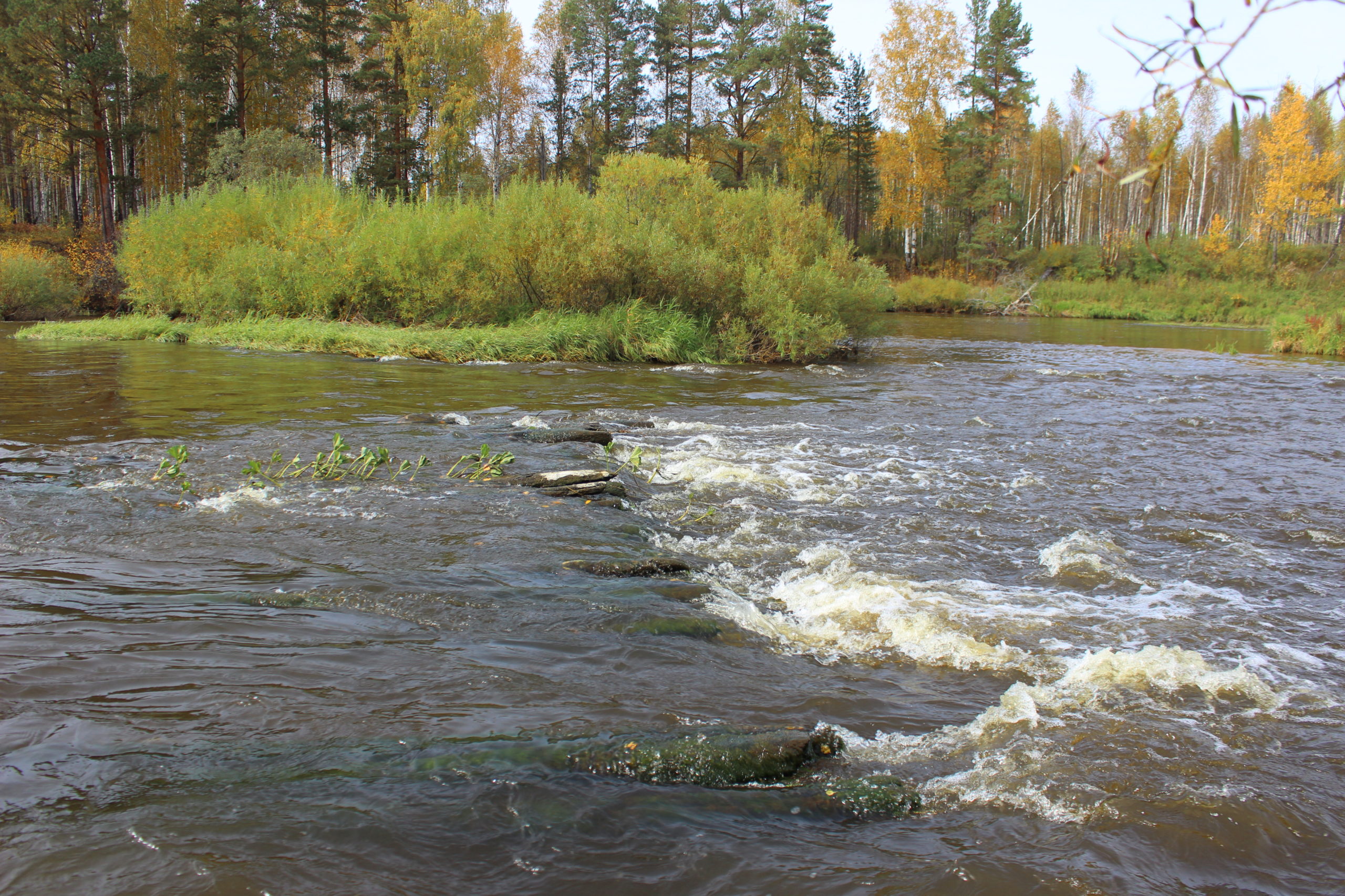 Природные воды Режевского района. Остатки плотины старой мельницы на реке Нейве