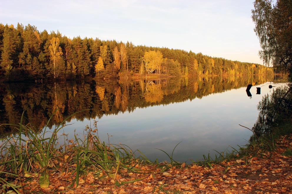 Глинский пруд: золотая осень
