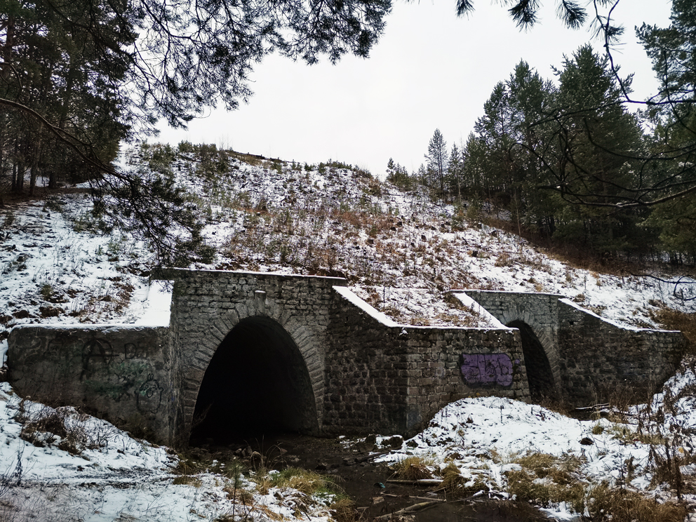 Реж. Старинные каменные арки железнодорожного моста через Талицу