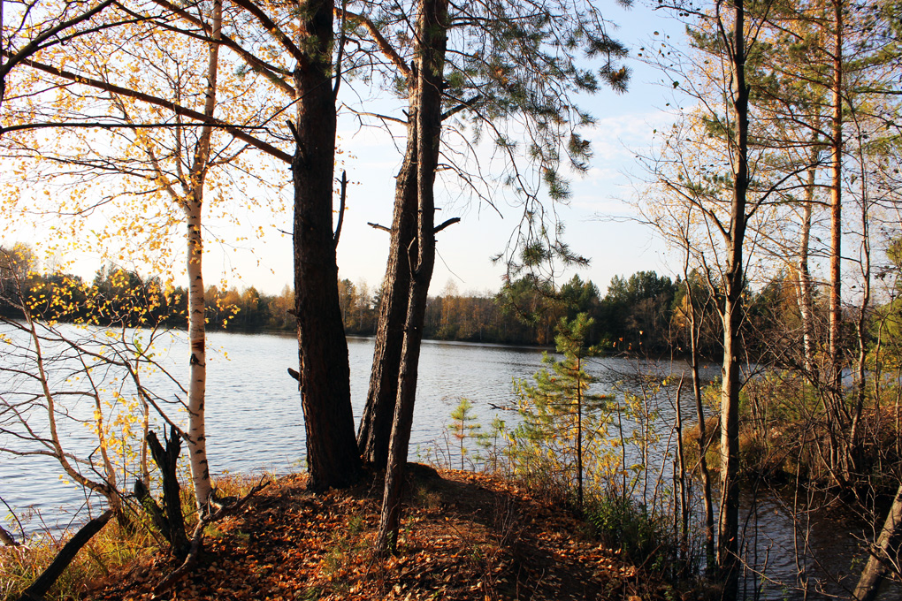 Вид с Ощеповки на Средний пруд в Озерном